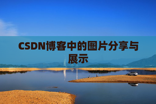 CSDN博客中的图片分享与展示